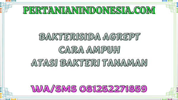 Bakterisida Agrept Cara Ampuh Atasi Bakteri Tanaman